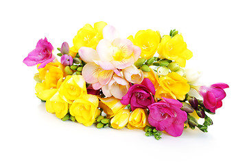 Image showing freesia flowers