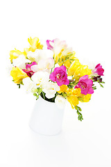 Image showing freesia flowers