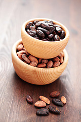 Image showing cocoa beans