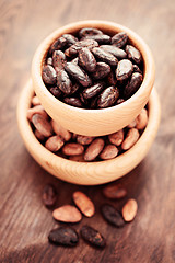 Image showing cocoa beans