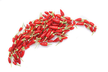 Image showing spice (chili) background