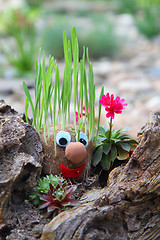 Image showing face with grass hair