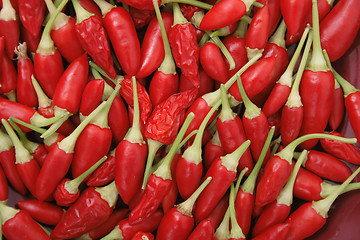 Image showing spice (chili) background