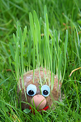 Image showing face with grass hair