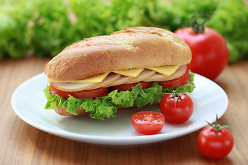 Image showing Sandwich with turkey and cheese