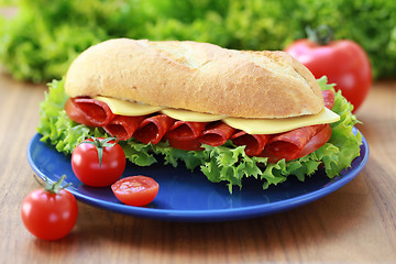 Image showing Salami Sandwich