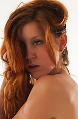 Image showing Redhead