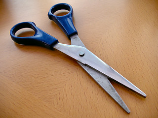 Image showing craft scissors