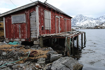 Image showing Lofoten lodge