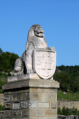 Image showing Statue of Lion in Veliko Tarnovo