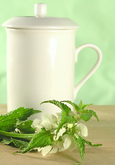 Image showing herbal tea - nettle