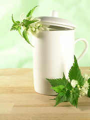 Image showing herbal tea - nettle