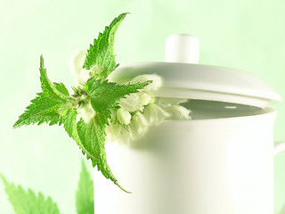 Image showing herbal tea - nettle