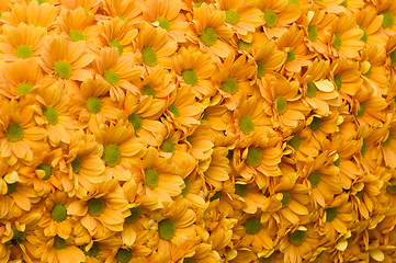 Image showing Flowers pattern