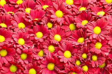 Image showing Flowers pattern