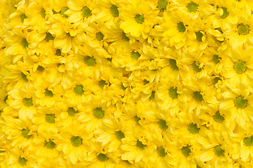 Image showing Flowers pattern