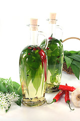 Image showing Wild garlic oil