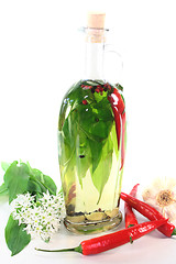 Image showing Wild garlic oil