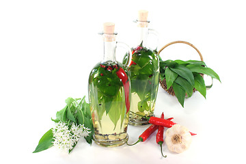 Image showing Wild garlic oil