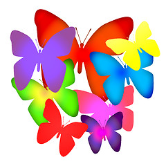 Image showing  Bouquet of butterflies