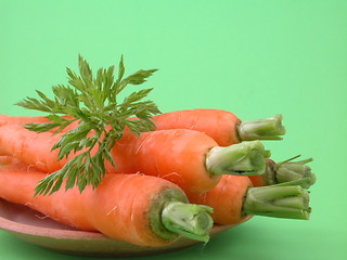 Image showing fresh carrots