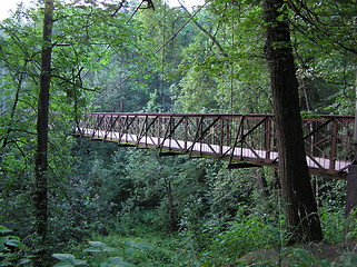 Image showing suspension bridge