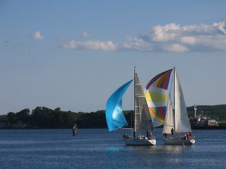 Image showing Spinnakers