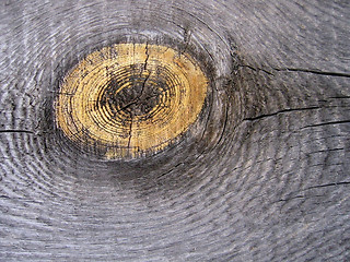 Image showing old wood texture 