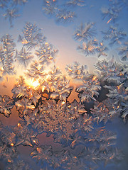 Image showing frost and sun