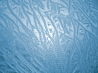 Image showing frosty natural pattern