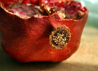 Image showing close-up of cut pomegranate fruit