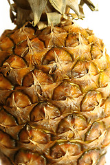 Image showing peel of pineapple