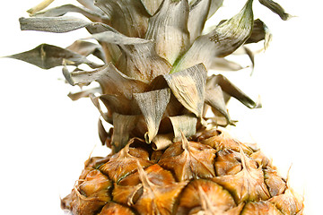 Image showing closeup of pineapple 