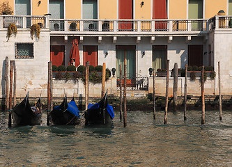 Image showing House in Venice