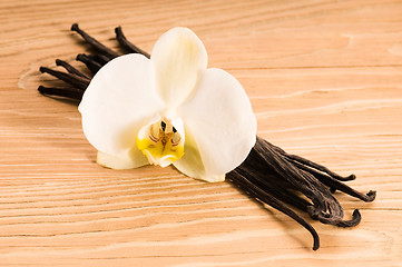 Image showing Vanilla pods and flower