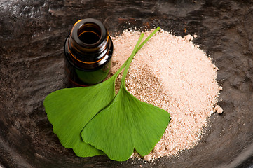 Image showing fresh leaves ginko biloba essential oil and powder - beauty trea