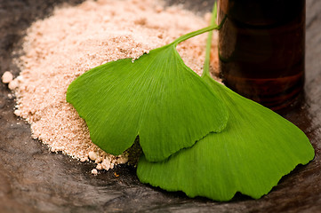 Image showing fresh leaves ginko biloba essential oil and powder - beauty trea