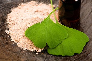 Image showing fresh leaves ginko biloba essential oil and powder - beauty trea