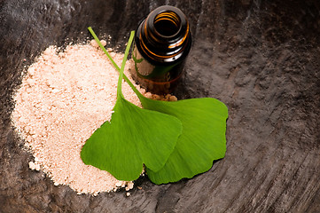 Image showing fresh leaves ginko biloba essential oil and powder - beauty trea