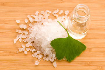 Image showing fresh leaves ginko biloba essential oil and sea salt - beauty tr