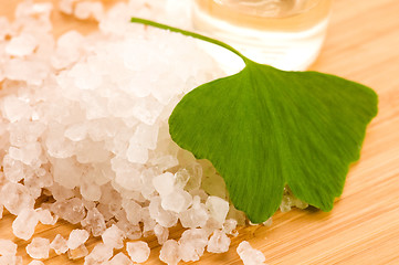 Image showing fresh leaves ginko biloba essential oil and sea salt - beauty tr