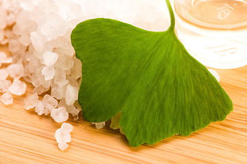 Image showing fresh leaves ginko biloba essential oil and sea salt - beauty tr