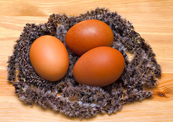 Image showing Soft chicken nest