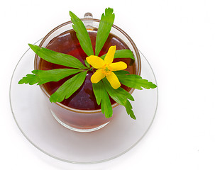 Image showing Nature drink