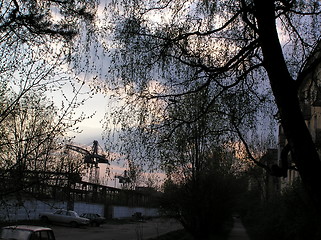 Image showing Sky through the trees