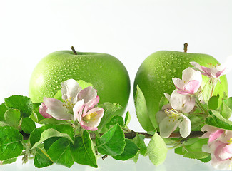 Image showing green apple