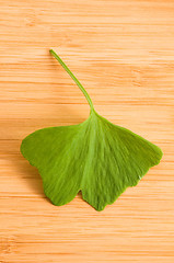 Image showing Fresh Leaves Ginkgo On The Wood