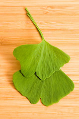 Image showing Fresh Leaves Ginkgo On The Wood