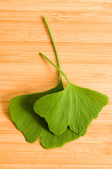 Image showing Fresh Leaves Ginkgo On The Wood