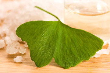 Image showing fresh leaves ginko biloba essential oil and sea salt - beauty tr